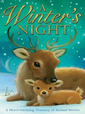 cover image of A Winter's Night